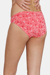 Zivame Anti-Microbial Low Rise Full Coverage Bikini Panty (Pack of 3) - Multicolor — thumbnail 3